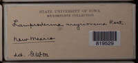 Image Associated With the Occurence